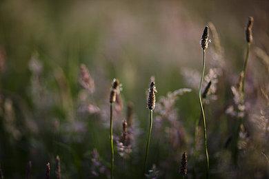 《星刃》体验版日活玩家峰值69万 远超《最终幻想7：重生》